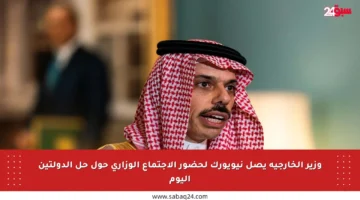 وزير الخارجية يصل نيويورك لحضور الاجتماع الوزاري حول حل الدولتين اليوم